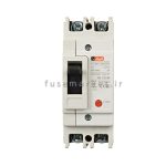 کلید اتوماتیک 2 پل ایستا توان اتصال ETE MCCB ETE6DC-MF10125 125A 1000V 2P