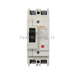 کلید اتوماتیک غیر قابل تنظیم 1 پل کیس 125 ایستا توان اتصال ETE FIX MF00125100 100A